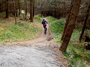 Mourne Heritage Trust
